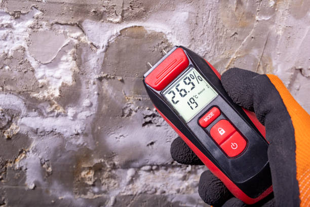 Best Mold Testing  in University Heights, OH