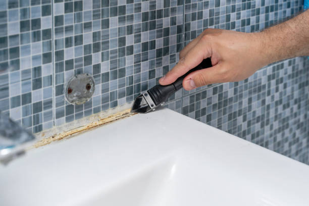 Best Mold Damage Repair  in University Heights, OH