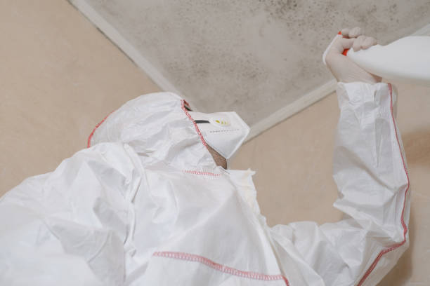 Best Crawl Space Mold Removal  in University Heights, OH