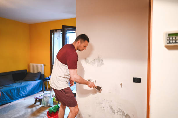 Best Mold Testing  in University Heights, OH
